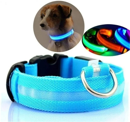 Petdora GlowSafe: Collar de Luz LED Recargable