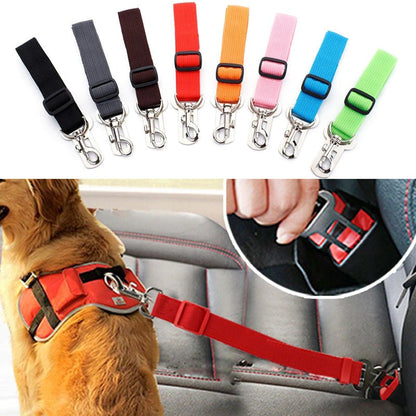 Petdora SafetyBelt: Cinturón de Seguridad para Perros